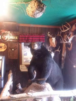 Come see our 500lb+  full bear mount it's a sight to see. Full menu that includes appetizers, burgers, steaks, & Homemade pizza.