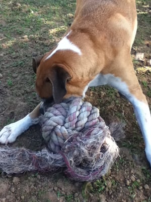 Rico D. gettin the rope ball