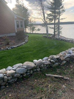 New lawn installation