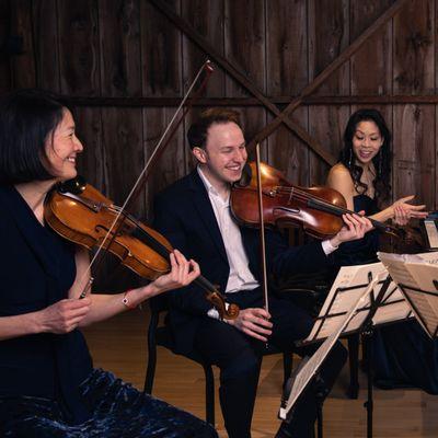 The Garth Newel Piano Quartet onstage.