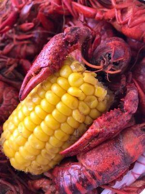 Crawfish and fixings!