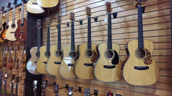 We are Southern Oregon's place to find quality Blueridge acoustics.