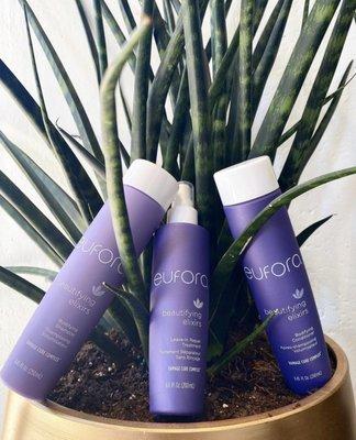 Pharmaceutical grade organic aloe vera based hair care. 
 Made with over 100 botanicals and essential oils.