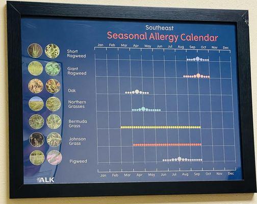 Seasonal allergy calendar for the Southeast