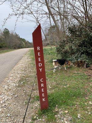 Raleigh Greenway through campus