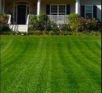 Frazier Lawn Service