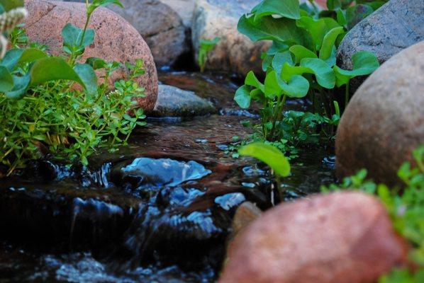 Bring the sounds of a babbling brook right into the city