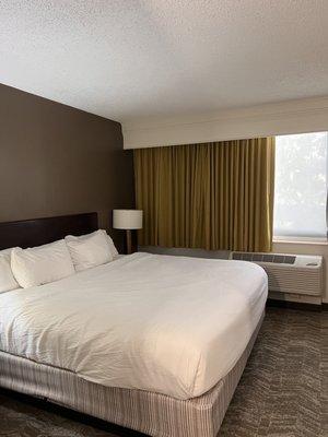 Springhill Suites Houston Medical Center/Nrg Park