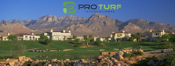 Pro Turf International