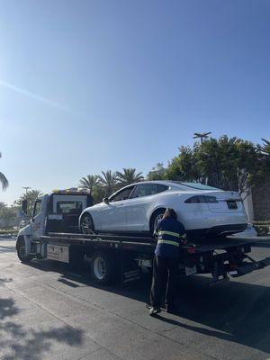 David Towing My Tesla