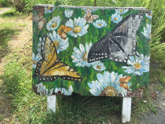 Pretty butterfly painting inside the butterfly park