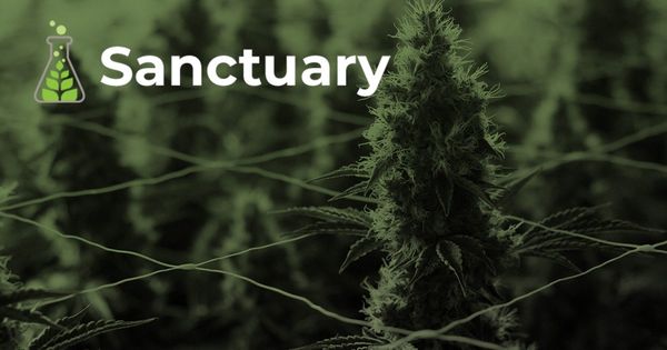 Sanctuary Medicinals