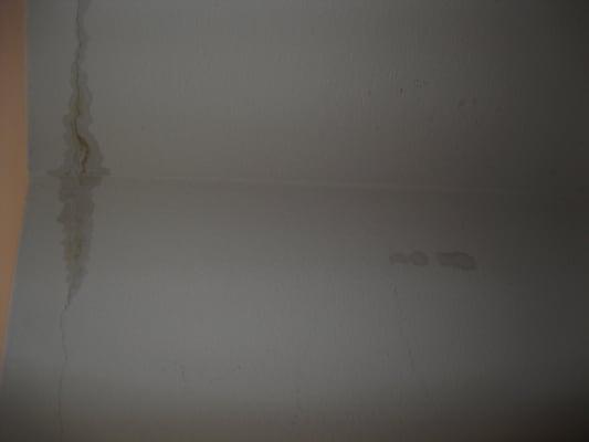 Ceiling leaking and mold growing