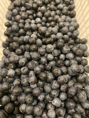 Blueberries