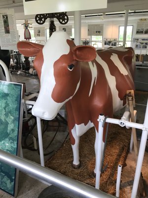 King Barn Dairy Mooseum