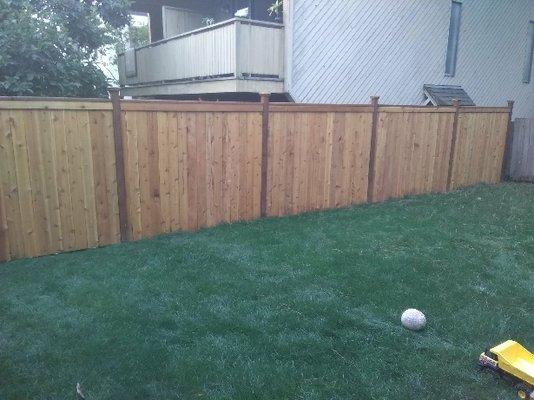 New Fence and New Yard Installation in Queen Anne