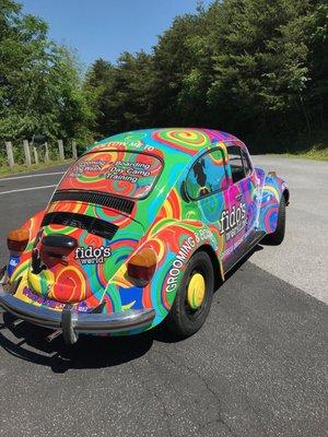 Beetle wrap