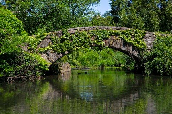 Gapstow Bridge, Central Park, New York City Photo by Robbie Frank