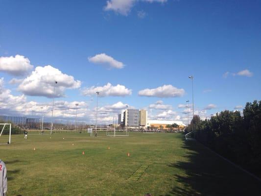 Open soccer fields with blue skies in back drop