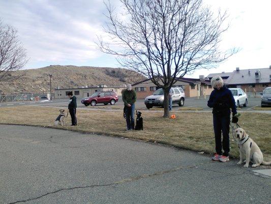 "Angels in the Making!" Basic Obedience Class called Your Well Mannered Dog 1