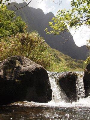 Rain forest hikes