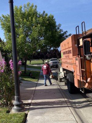 Hardin's Tree Service