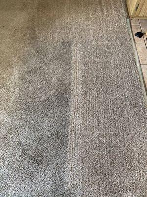 Don't get used to the dirty color of your carpet. Give us a call now!