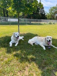 Charlotte and Archie!