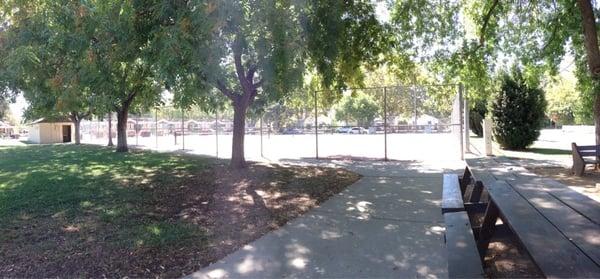 Tennis courts are very busy in the evenings.