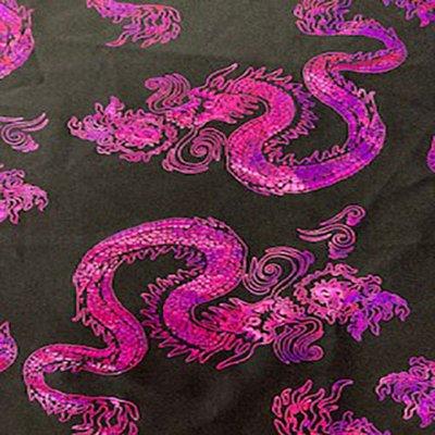 Dragon design in spandex