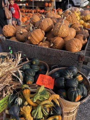 Pumpkins!