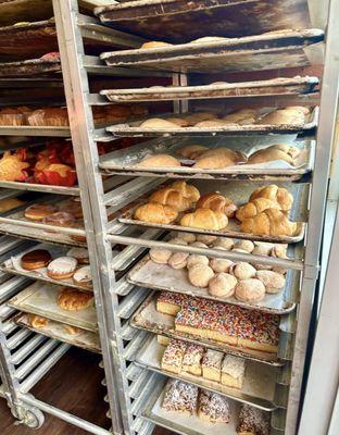 Variety of pan de Dulce