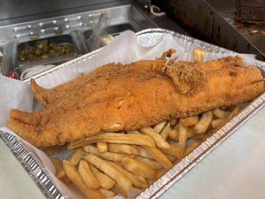 Haddock fish w/ side of fries