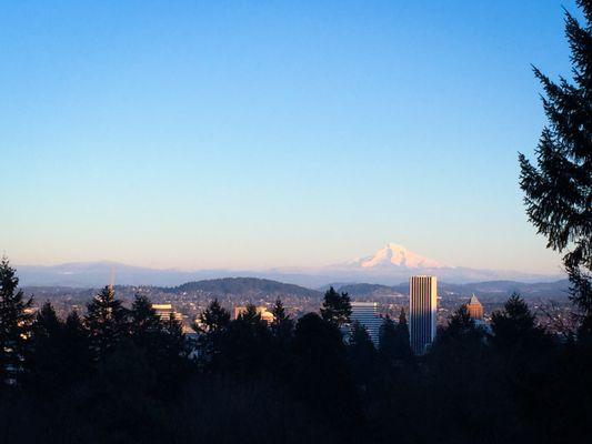 Classic Mount Hood View