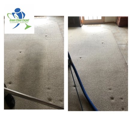 Green Clean Carpet Cleaning Services