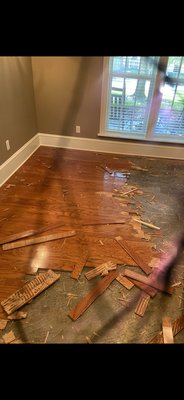 American Floor Scraping