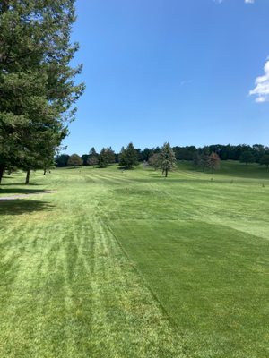 First tee box.