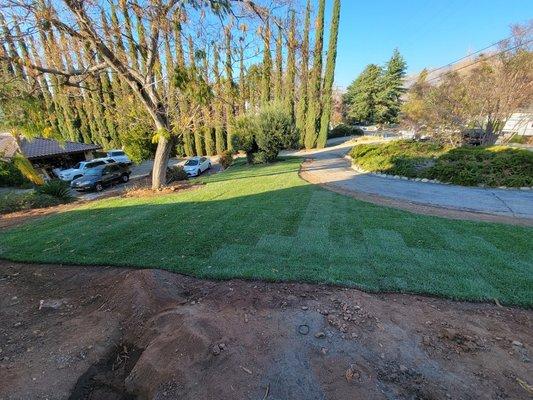 New lawn installation SOD/SEED