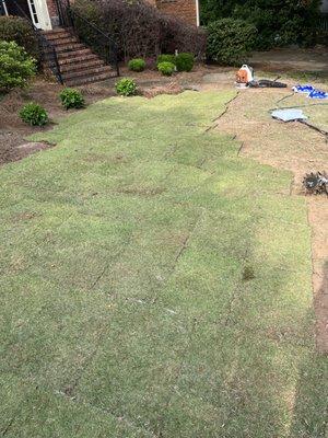 This is a photo of landscaping job in progress