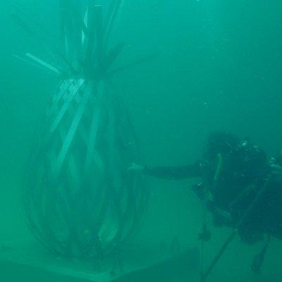 The Grayt Pineapple at the Underwater Museum of Art