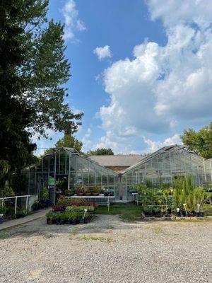 Graye's Greenhouse