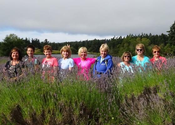 Lavender farm~San Juan Island