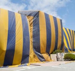 We offer several methods of treatment including fumigation