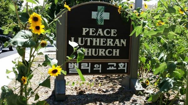 Church Sign