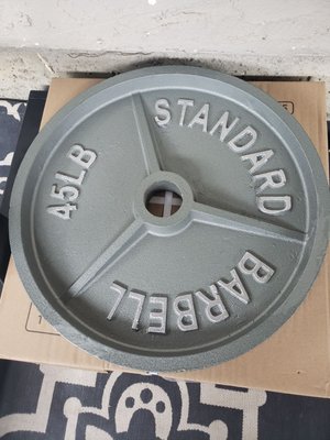 Gray 45lbs plates