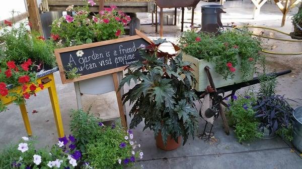 The Old Watering Can