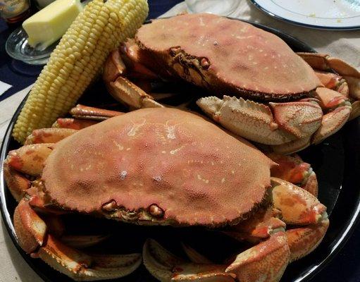 Dungeness Crab boiled in Louisiana Fish Fry© Crawfish, Shrimp & Crab Boil