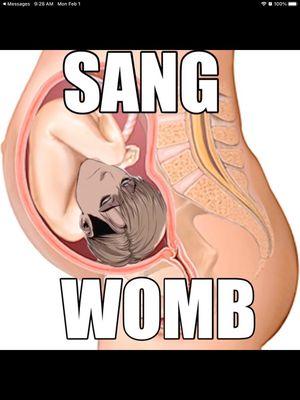 Sangwomb