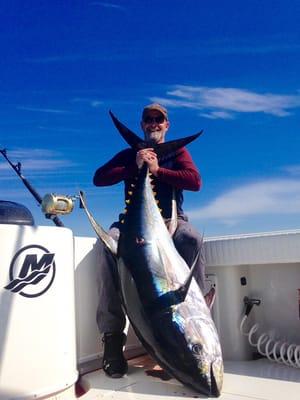 Yellowfin Tuna