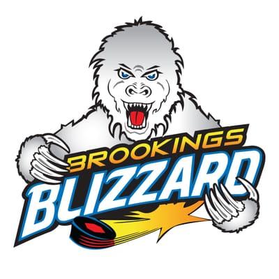 Brookings Blizzard